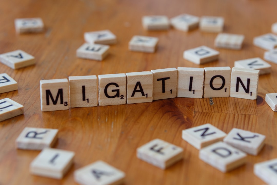 a-close-up-of-a-wooden-block-with-letters-spelling-the-word-migration-u6ted83wiz4