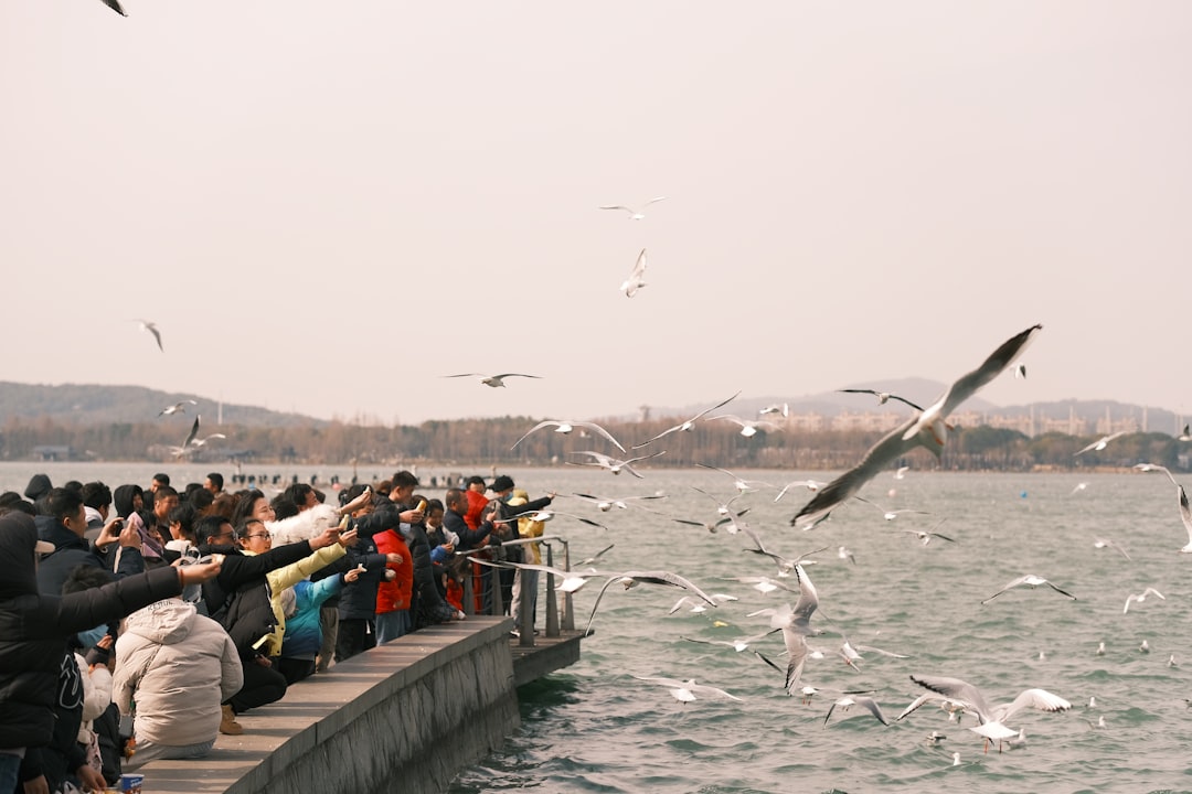 a-group-of-people-standing-on-a-pier-next-to-a-body-of-water-6cukp3v2y6a